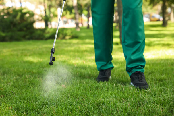 Wasp Removal Services in Rosanky, TX