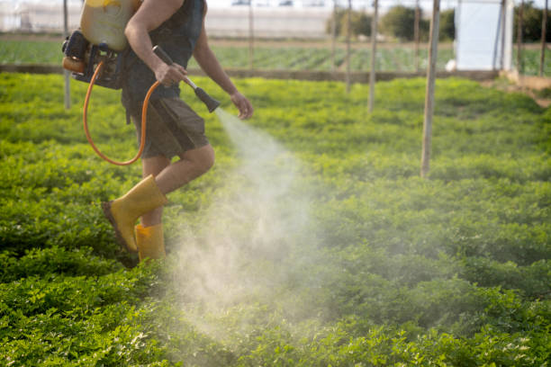 Reliable Rosanky, TX Pest Control Solutions