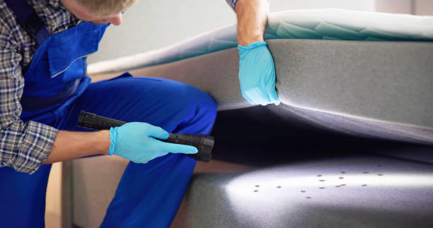 Best Termite Control Services  in Rosanky, TX