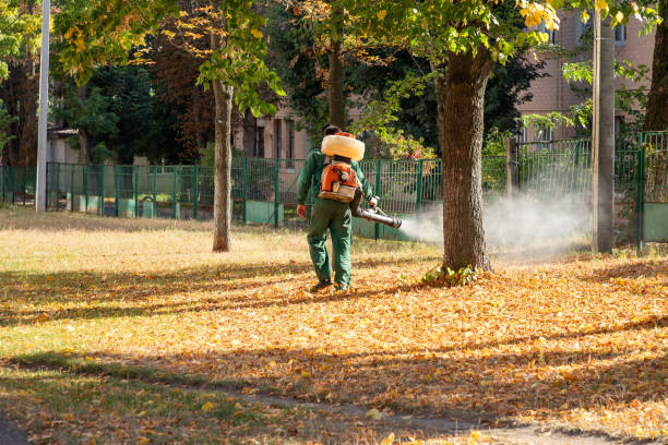 Best Exterminator Services  in Rosanky, TX