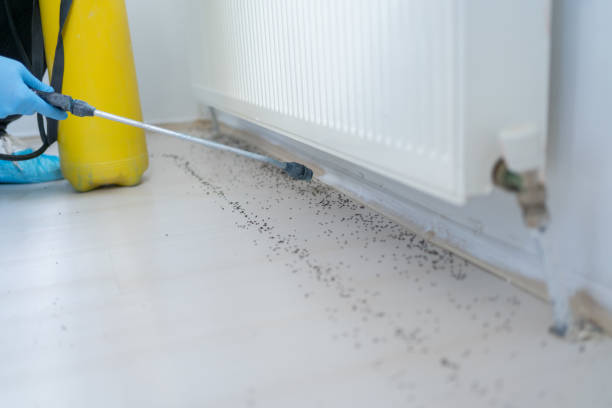 Pest Control for Restaurants in Rosanky, TX