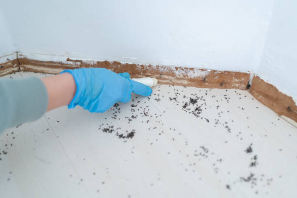 Best Residential Pest Control  in Rosanky, TX