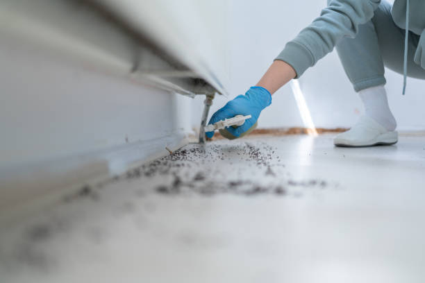 Best Commercial Pest Control Services  in Rosanky, TX