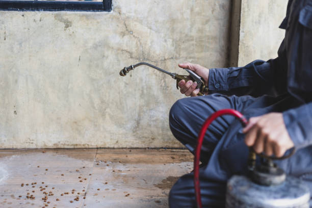 Reliable Rosanky, TX Pest Control Solutions